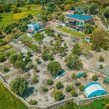 Exceptional Farmhouse In Bodrum Guerece Villa